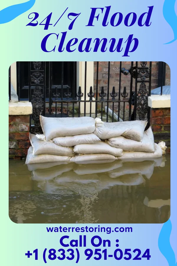 24/7 Flood Cleanup in Handley, WV