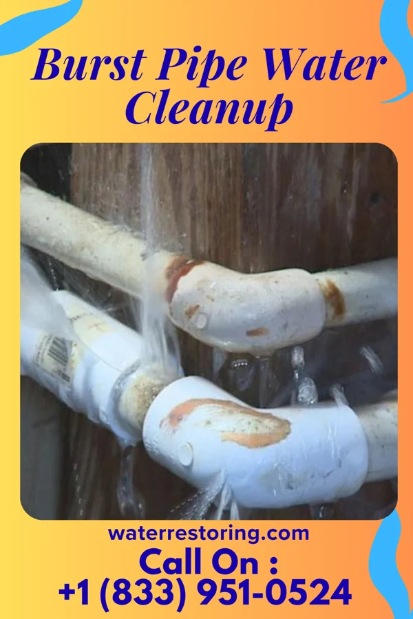 Burst Pipe Water Cleanup in Handley, WV