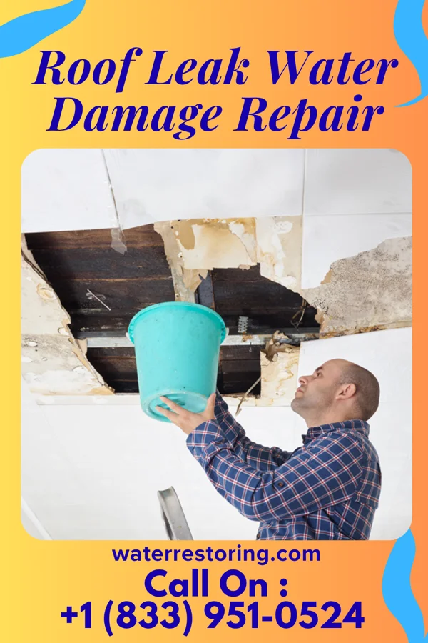Roof Leak Water Damage Repair in Handley, WV