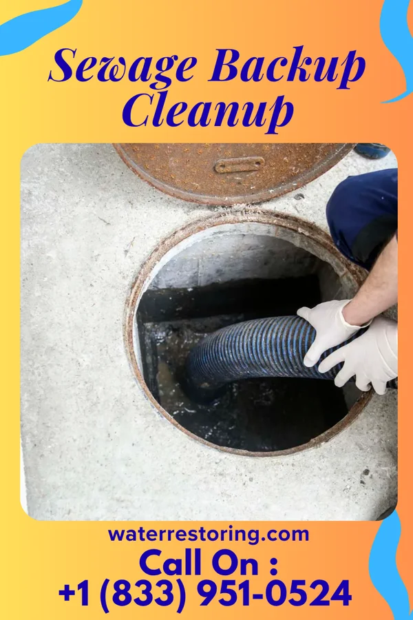 Sewage Backup Cleanup in Handley, WV