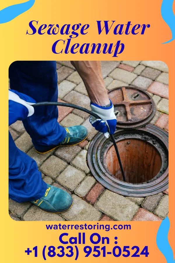 Sewage Water Cleanup in Handley, WV