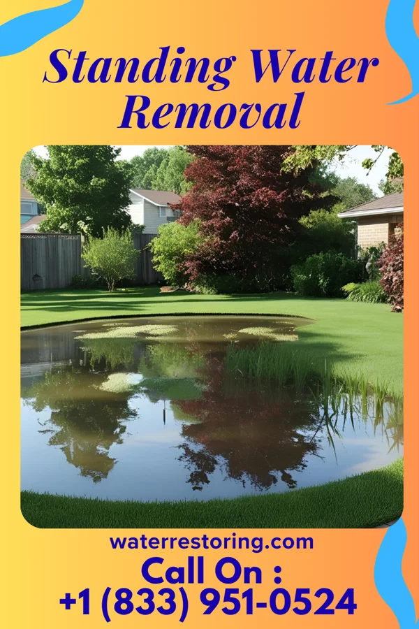 Standing Water Removal in Handley, WV